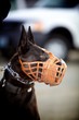 K9 Muzzle