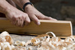 Carpenter's hands
