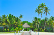 Luxury exotic beach with palms