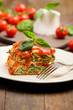 Photo : Homemade Lasegne with Ricotta Cheese and Spinach Homemade Lasegne with Ricotta Cheese and Spinach