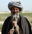 Old shepherd