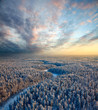 Top view of winter forest
