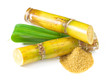 Canne à Sucre