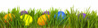 Easter border