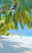 maldive beach