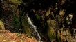Rinnsal / Full Hd Video Rinnsal / Full Hd Video