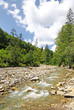 Small mountain river in Carpathians, Ukraine