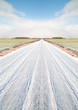 Snowy road.