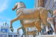 saint mark venice saint mark venice