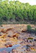 REFLEJOS EN RIOTINTO. LAS MINAS DE RIOTINTO, DE HUELVA REFLEJOS EN RIOTINTO. LAS MINAS DE RIOTINTO, DE HUELVA