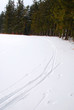 Winter landscape Winter landscape