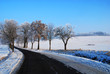 Winter landscape Winter landscape