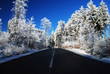 Winter landscape Winter landscape