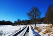 Winter landscape Winter landscape