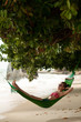 View nice woman lounging in hammock in tropical environment