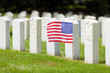 Military graves