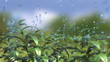 Video: animated backdrop with moving plants and falling drops animated backdrop with moving plants and falling drops