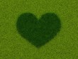 Heart from grass