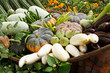 Group of tropical vegetables Group of tropical vegetables