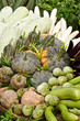 Group of tropical vegetables Group of tropical vegetables