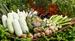 Group of tropical vegetables Group of tropical vegetables