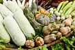 Group of tropical vegetables Group of tropical vegetables
