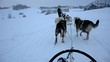 mushing