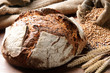 Freshly Baked Traditional Bread