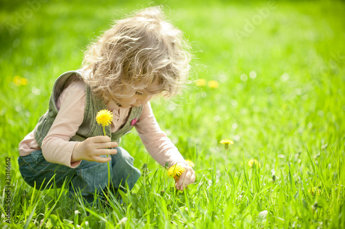 Photo: Beautiful child picks flowers Beautiful child picks flowers