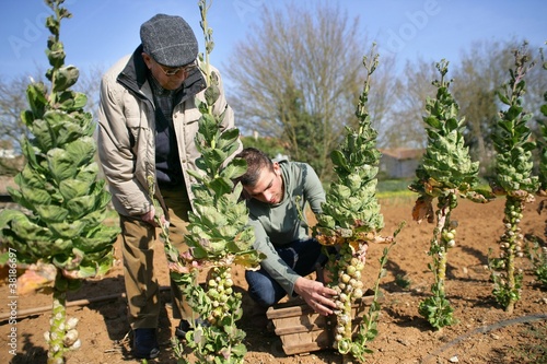 Photo: Man planting trees Man planting trees