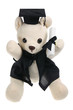 Toy Graduation Bear