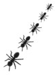 Toy Ants