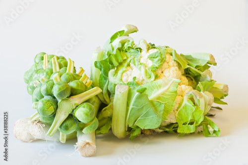 Photo: fresh garden vegetables fresh garden vegetables