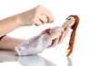 Voodoo doll girl in the hands of women isolated on white
