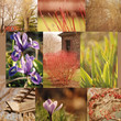 A spring time mosaic of a country neighborhood A spring time mosaic of a country neighborhood