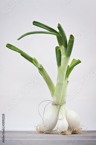 Photo: stand up leeks stand up leeks