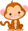 Fun zoo. Monkey
