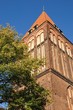 Jakobikirche Greifswald