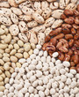 Four kinds of beans close up Four kinds of beans close up