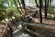 Stairway to forest lake Stairway to forest lake