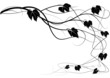 Decorative element creeper vine branches