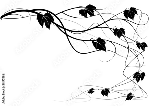 Vector: Decorative element creeper vine branches Decorative element creeper vine branches