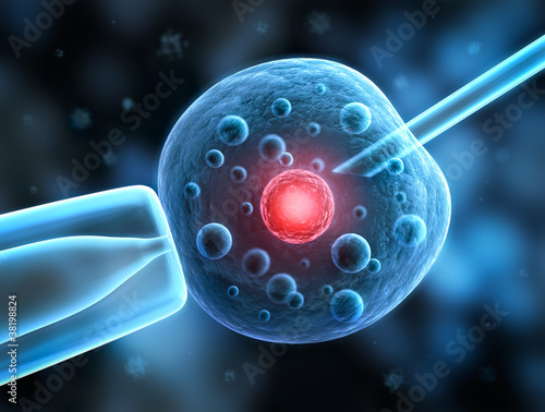 Illustration: Zelle in Vitro Zelle in Vitro