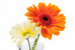 Farbenfrohe Blumen