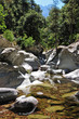 Stream on Corsica