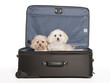 Please Take Us With You Please Take Us With You