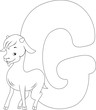 Coloring Page Goat Coloring Page Goat
