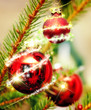 weihnacht
