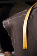 Tailors mannequin a Work in progres