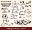 Vector set of calligraphic design elements